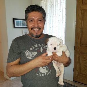 Meet your Posher, Porfirio